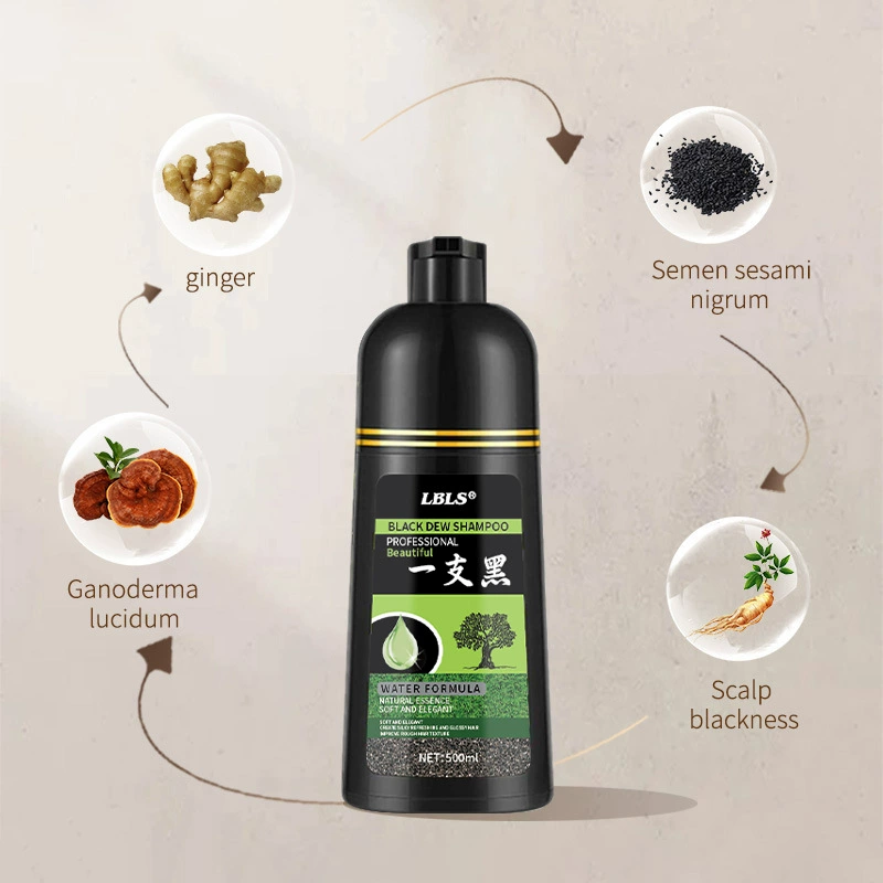 LBLS Botanical Hair Color Shampoo